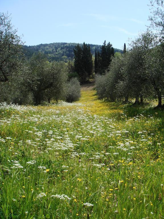 Podere Patrignone Pensionat Castellina in Chianti Exteriör bild
