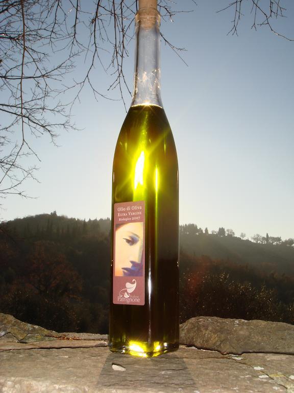 Podere Patrignone Pensionat Castellina in Chianti Exteriör bild