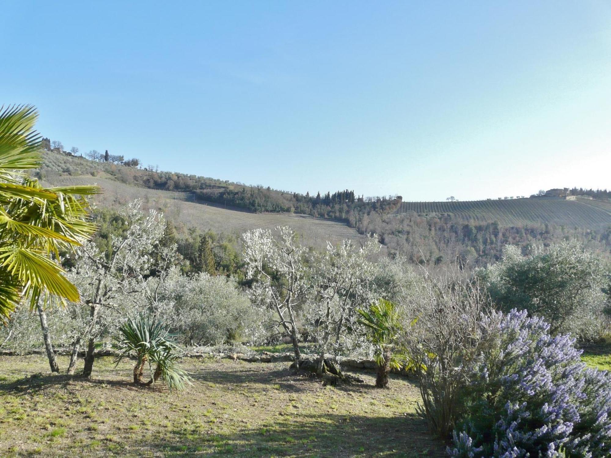 Podere Patrignone Pensionat Castellina in Chianti Rum bild