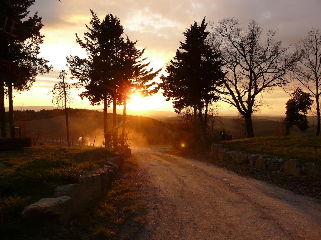 Podere Patrignone Pensionat Castellina in Chianti Exteriör bild